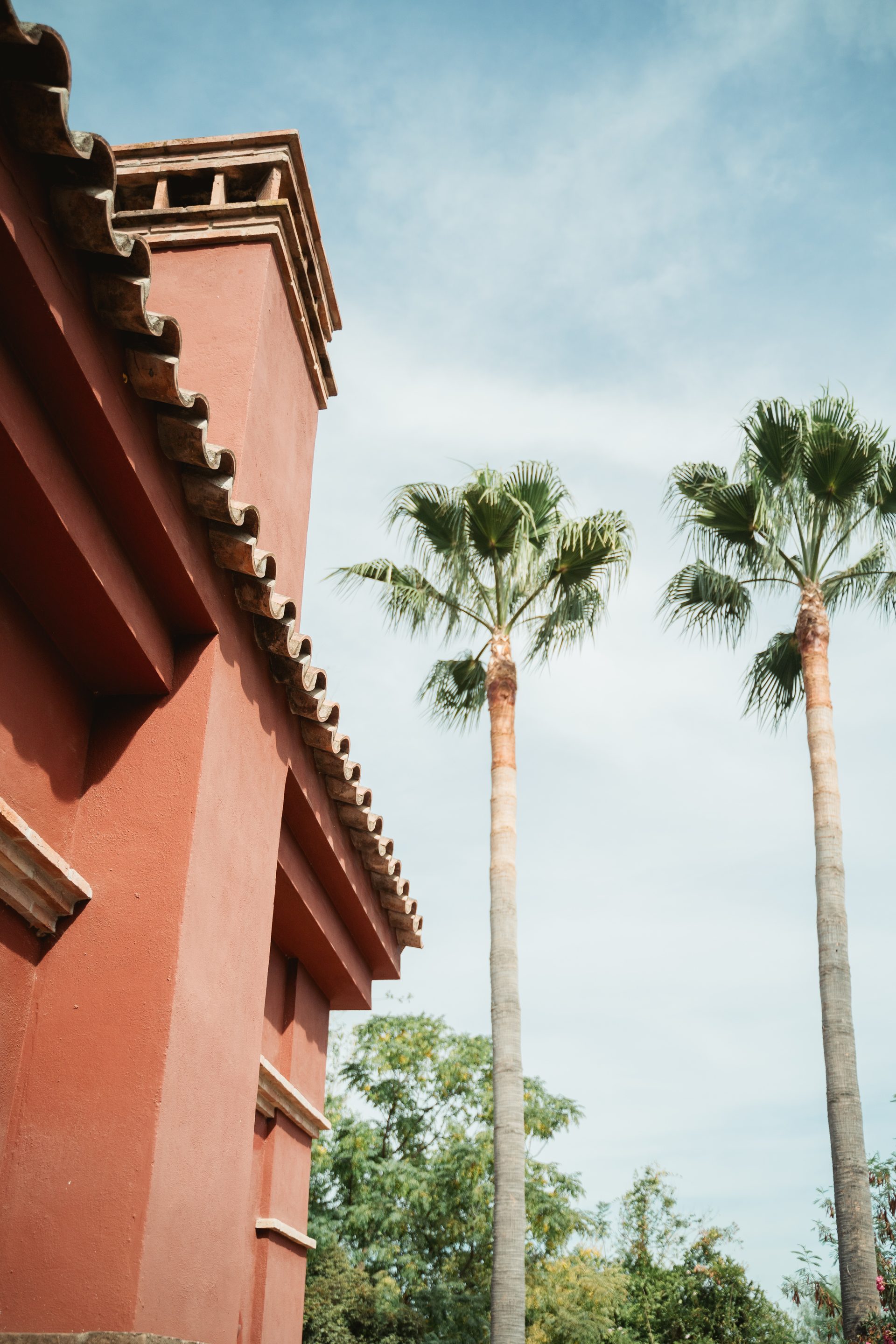 Jeffre & Elise wedding at Finca La Familia Naranja - image 20