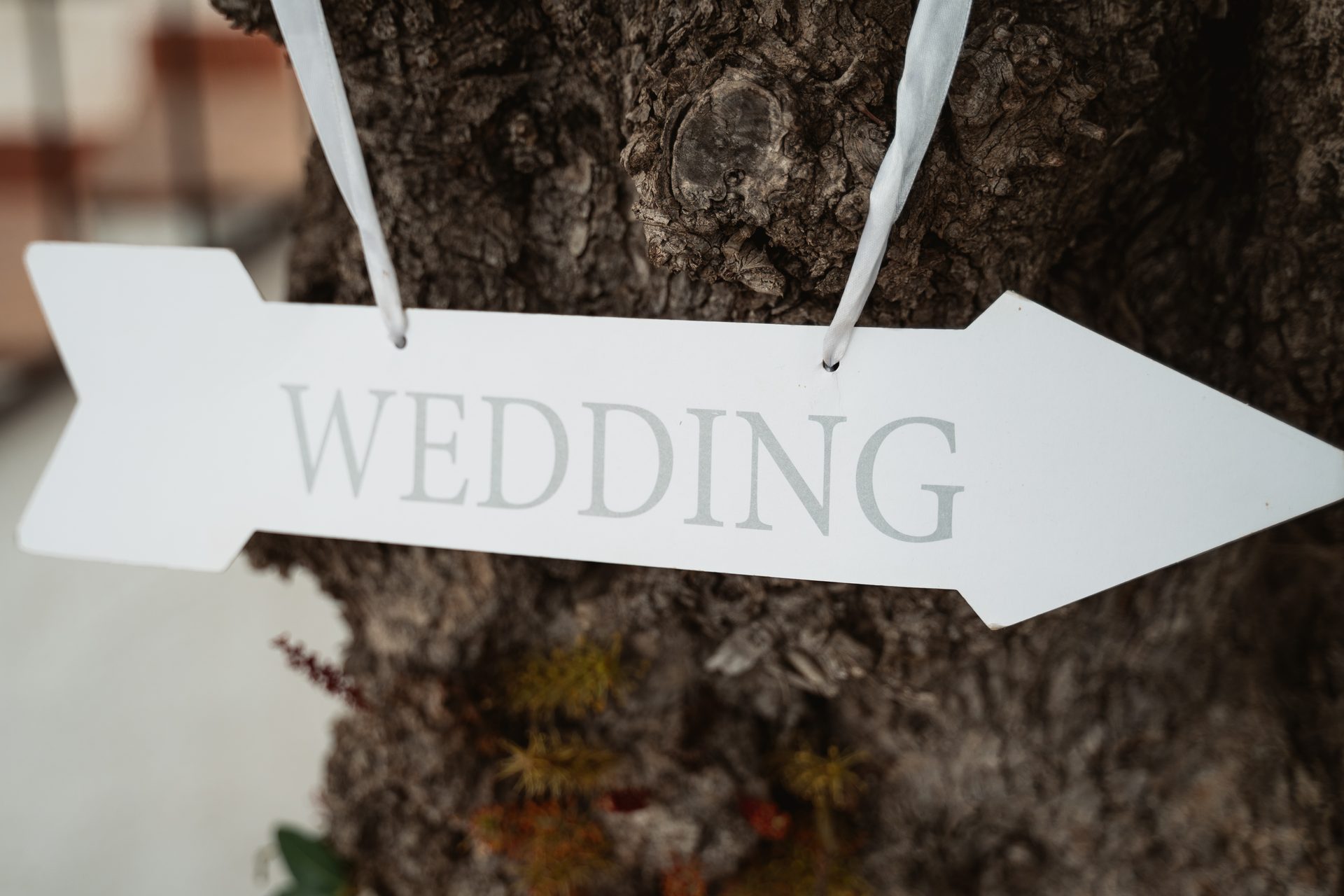 Miirka & Milla wedding at Private Villa - image 14